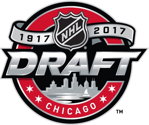 NHL Draft 2017 Primary Logo iron on transfers for clothing